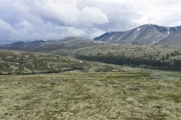 горы Рондане (Rondane)